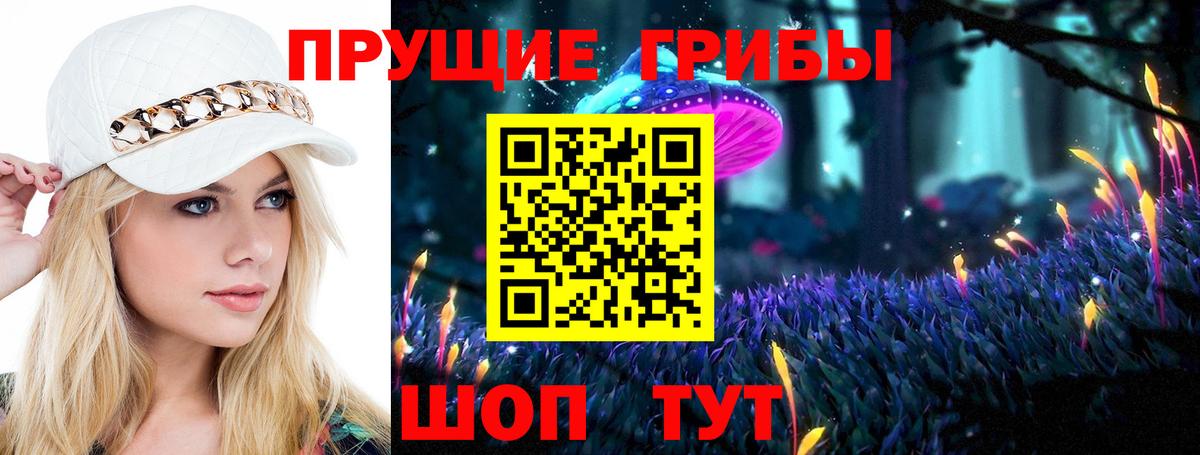 Псилоцибиновые грибы Cubensis  Вход с VPN  Гурьевск 